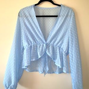 Baby Blue Sheer Crop Top- L